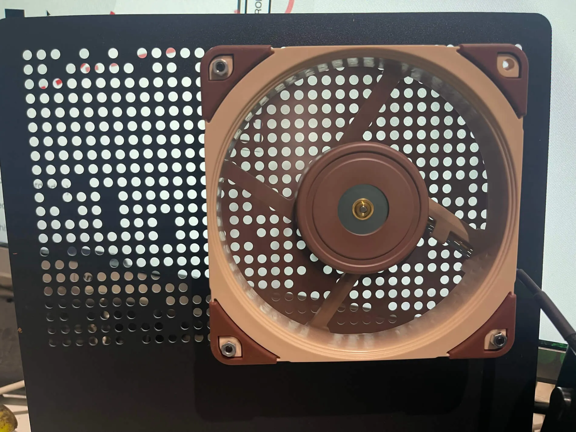 Fan